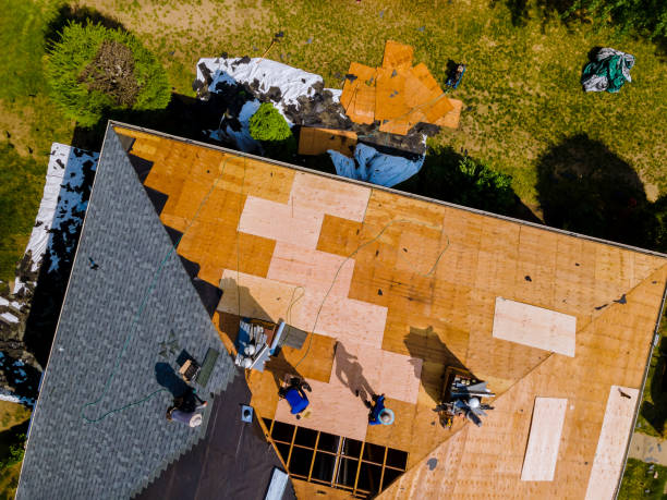 Best Metal Roofing Contractor  in Perry, MI