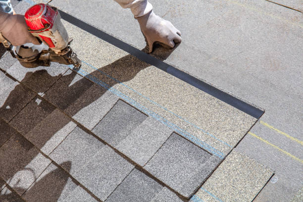 Best Roof Repair Specialists  in Perry, MI