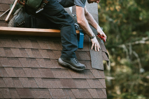 Best Roofing Contractor Near Me  in Perry, MI